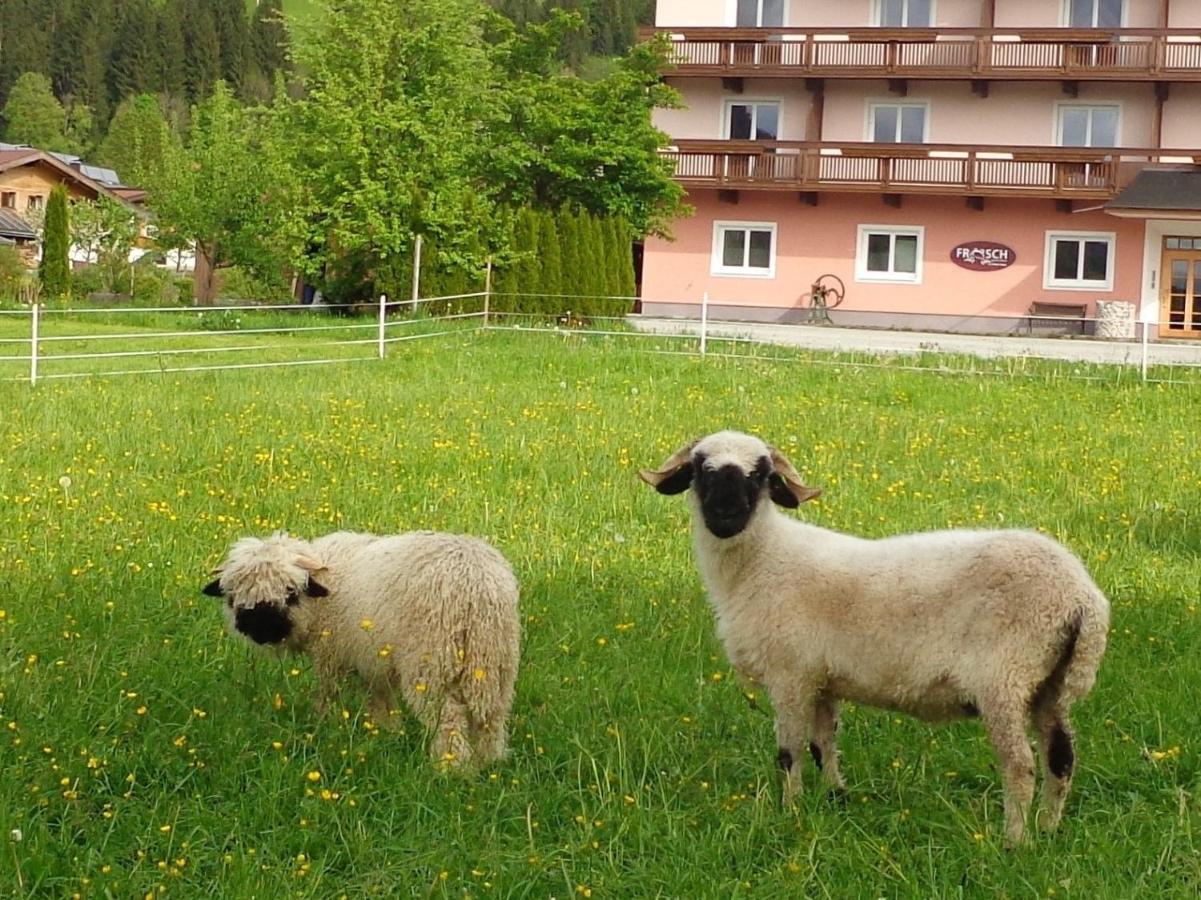 Hinterlechnerhof Hotel Westendorf Buitenkant foto